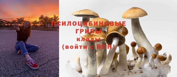 Альфа ПВП Мегион