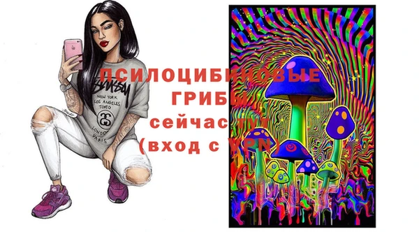 твердый Михайловск