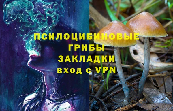 твердый Михайловск