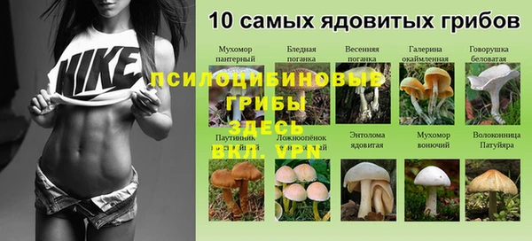 герыч Михайлов