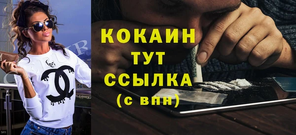 твердый Михайловск
